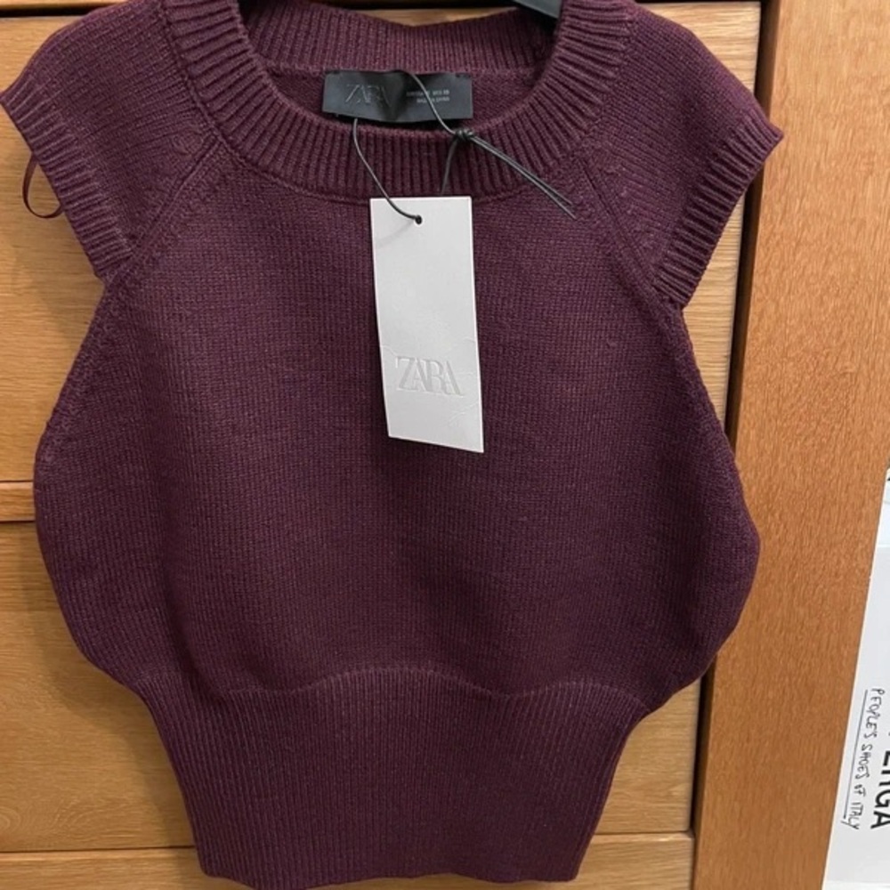 Zara Women's Deep Purple Crew Neck Sweater
